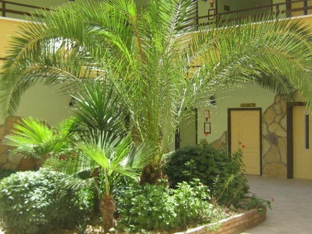 Oya Apartments Kusadası Eksteriør bilde